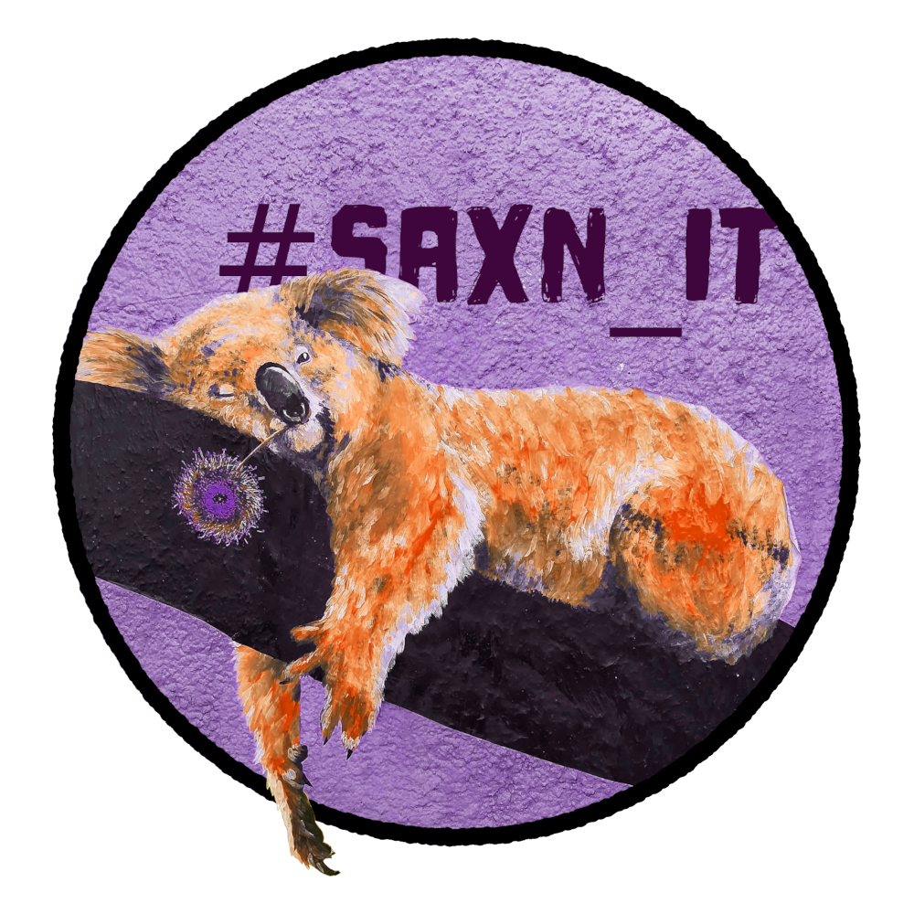 logo_SaxnIT