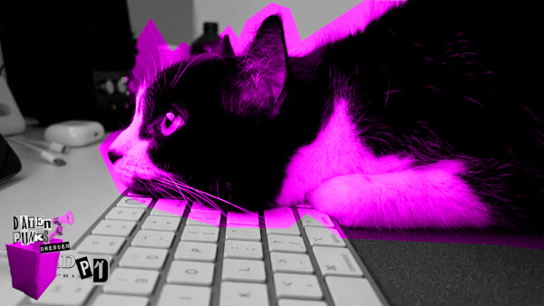 Eine Katze, die vor einer Tastatur liegt. Das Bild ist in Grautönen gehalten, nur die Katze ist in leuchtendes Pink gefärbt. In der linken unteren Ecke des Bildes ist zudem das Logo der Datenpunks Dresden, ein Pappkarton aus dem eine Hand mit Megaphon gestreckt ist in knalligem Pink. Selbstverst%C3%A4ndnis_Max_V1