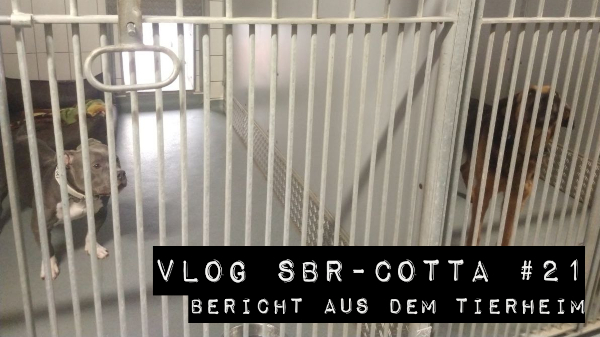 Thumbnail_600
